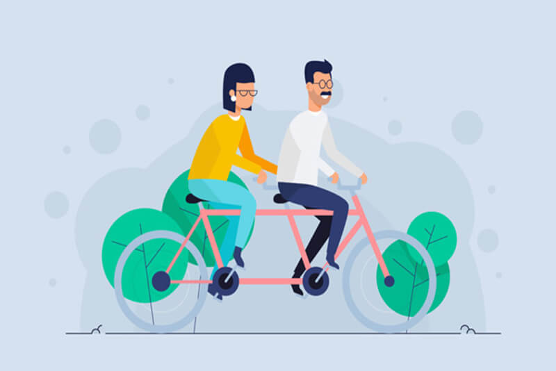 WordPress转Typecho插件